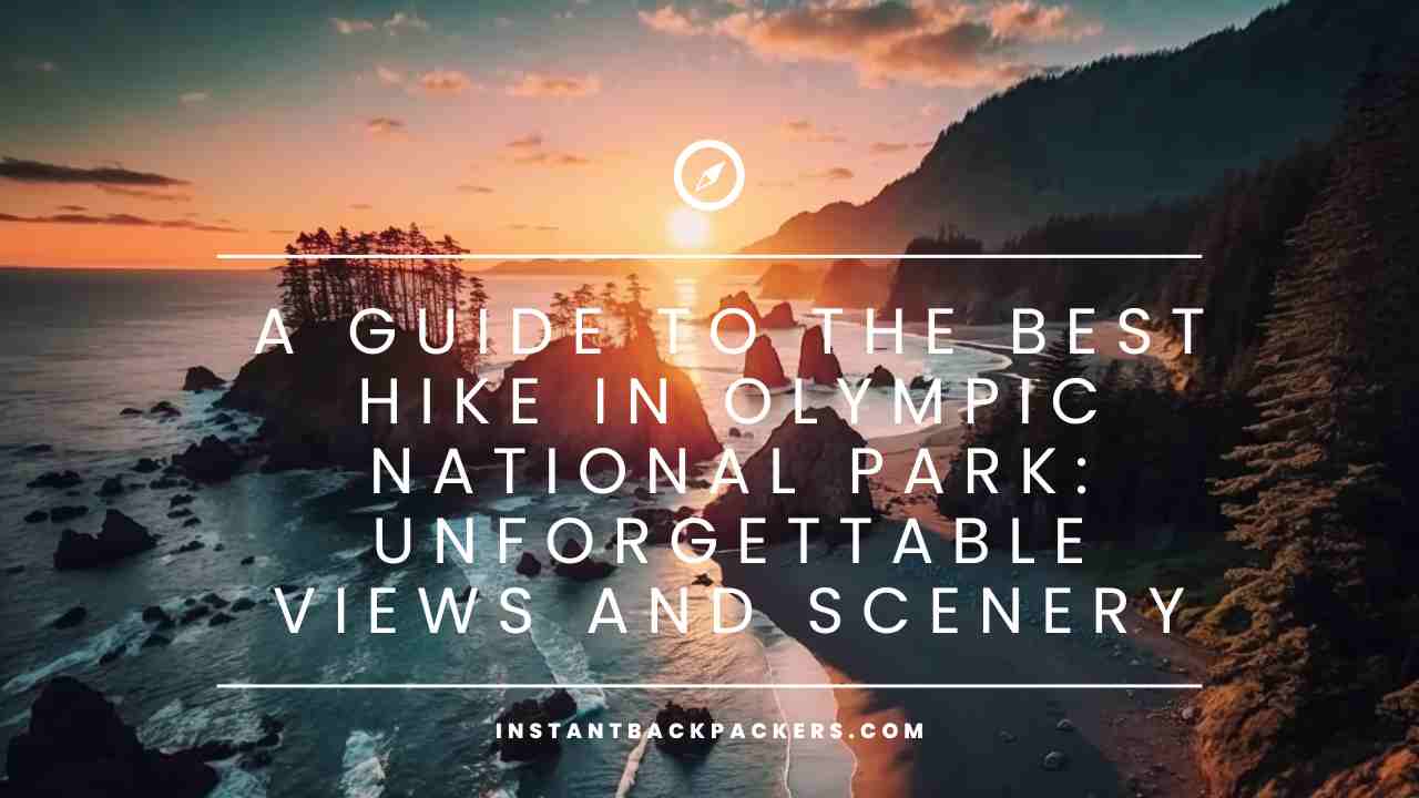 A GUIDE TO THE BEST HIKE IN OLYMPIC NATIONAL PARK